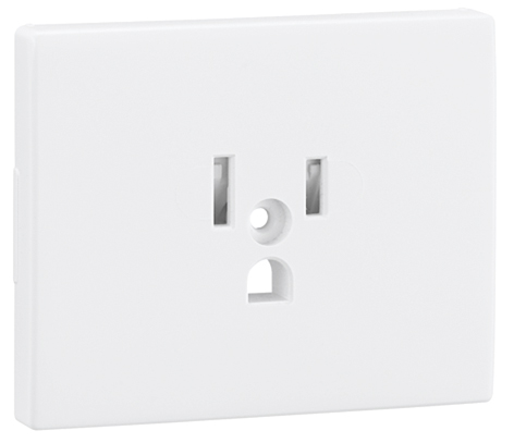 Safety Cover Plate for Earth Socket (USA NEMA Type)
