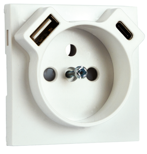 Cover Plate for Earth Socket French + USB Type A and Type C